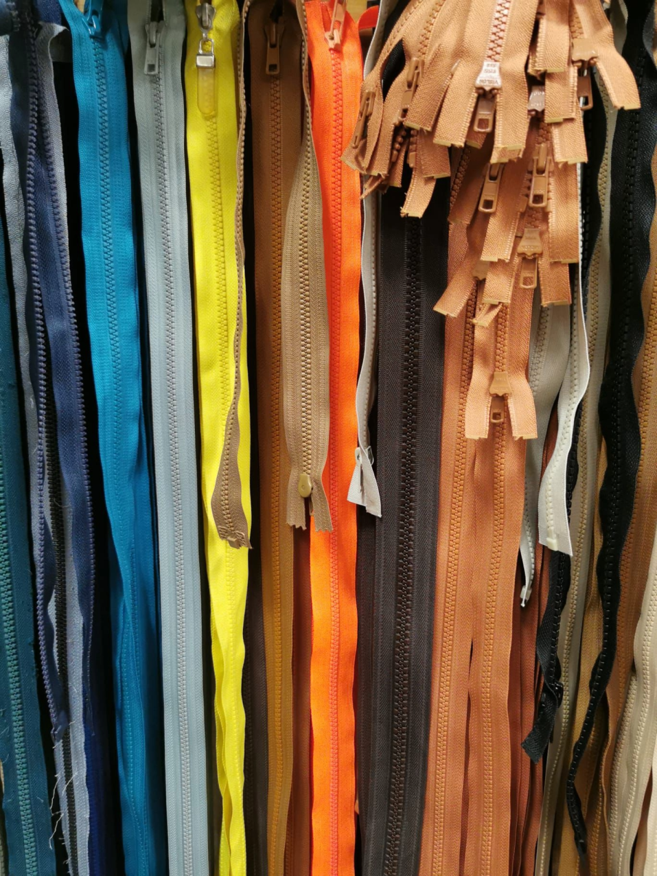 Bunte Reißverschluss-Sammlung in lebendigen Farben